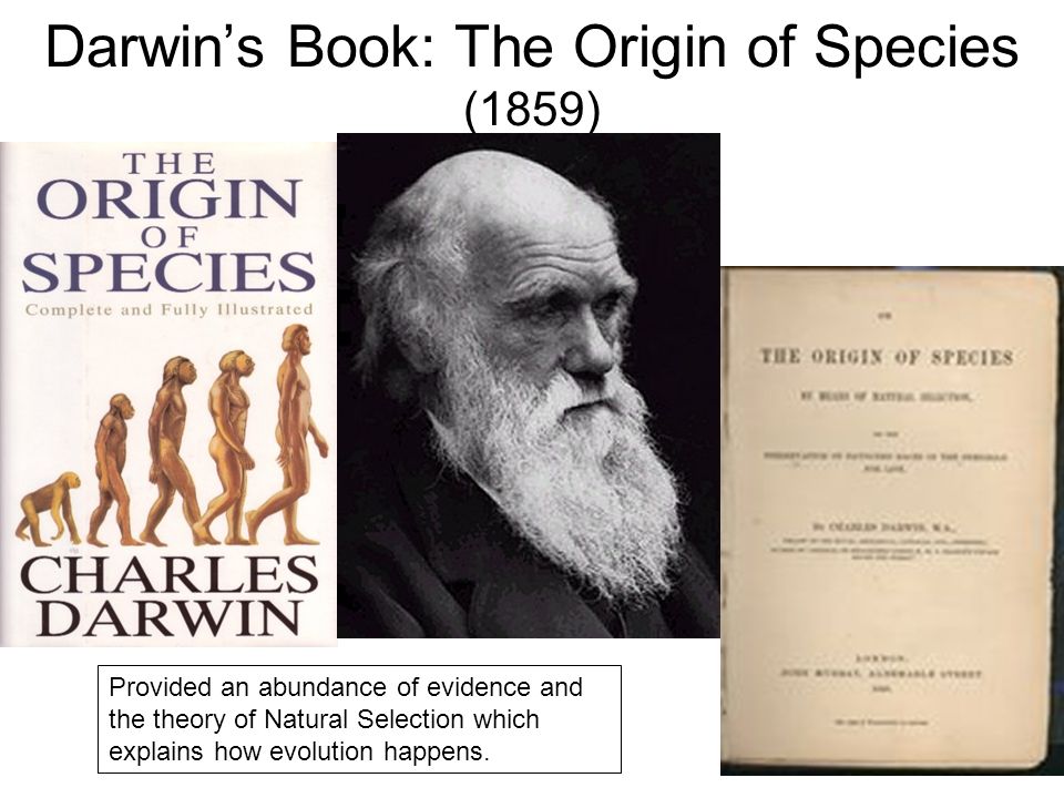 the theme of nature in charles darwins the origin of species Charles darwin: did he help create scientific racism the origin of species by means of natural selection darkwhite wordpress theme by ruven. the theme of nature in charles darwins the origin of species Charles darwin: did he help create scientific racism the origin of species by means of natural selection darkwhite wordpress theme by ruven.