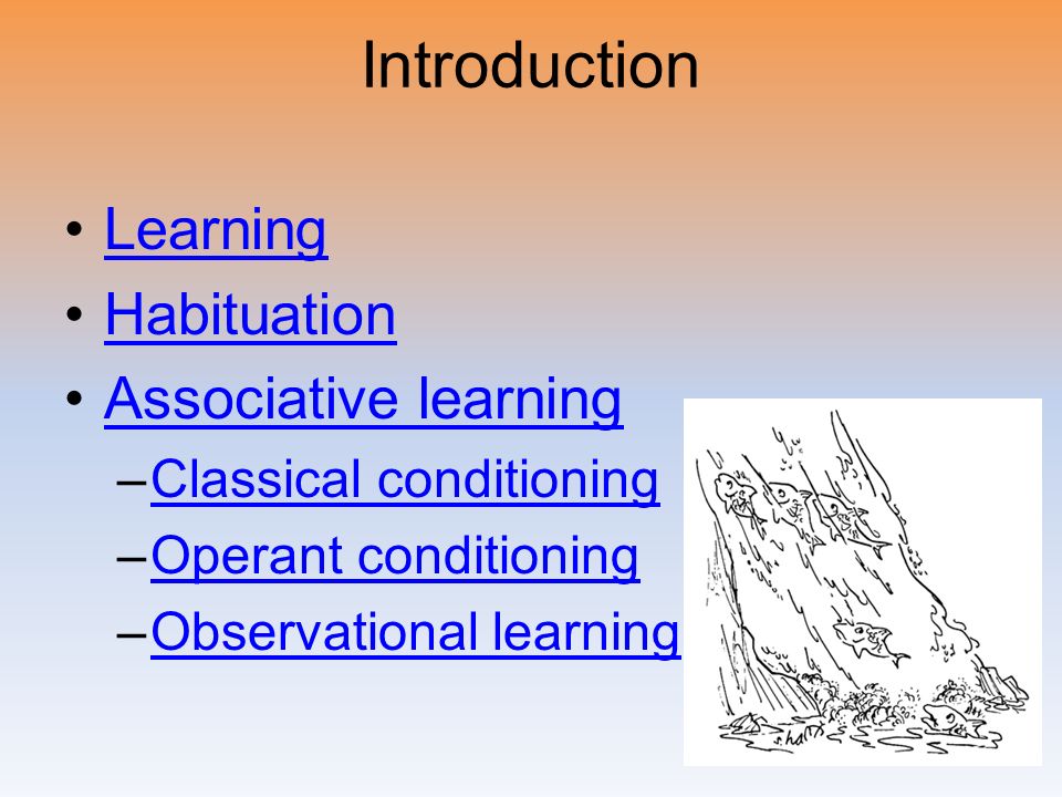 a study of classical conditioning and observational learning Observational learning observational learning is an important idea in psychology thus, it would be important to define observational learning. a study of classical conditioning and observational learning Observational learning observational learning is an important idea in psychology thus, it would be important to define observational learning.
