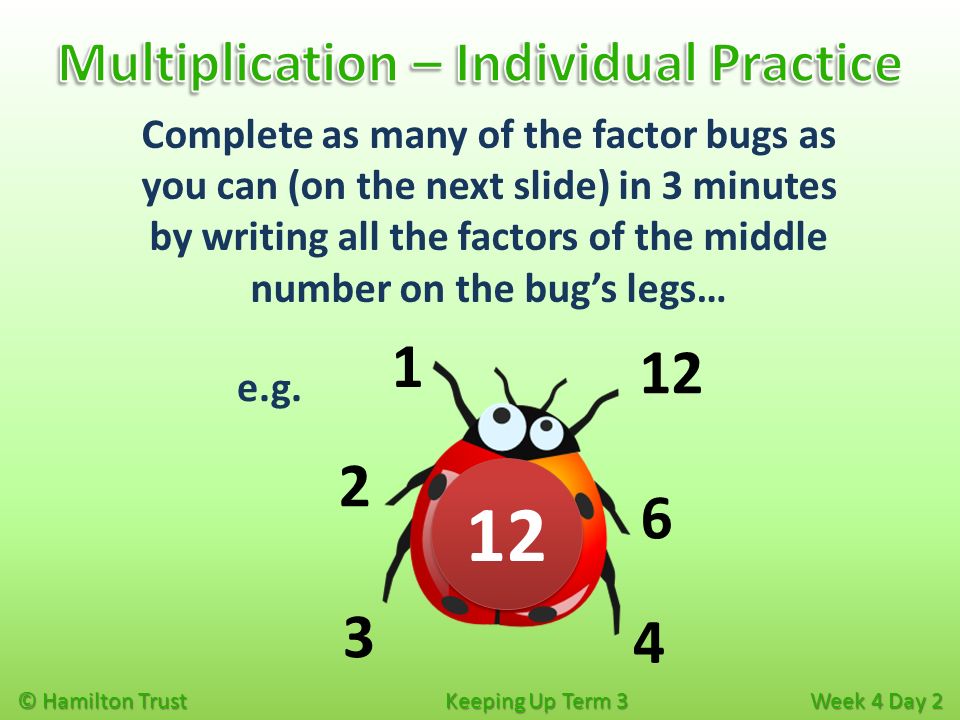 © Hamilton Trust Keeping Up Term 3 Week 4 Day 2 Complete as many of the factor bugs as you can (on the next slide) in 3 minutes by writing all the factors of the middle number on the bug’s legs… e.g.
