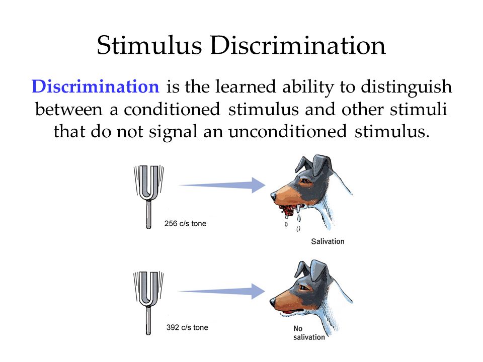 stimulus discrimination magdalene project org stimulus discrimination