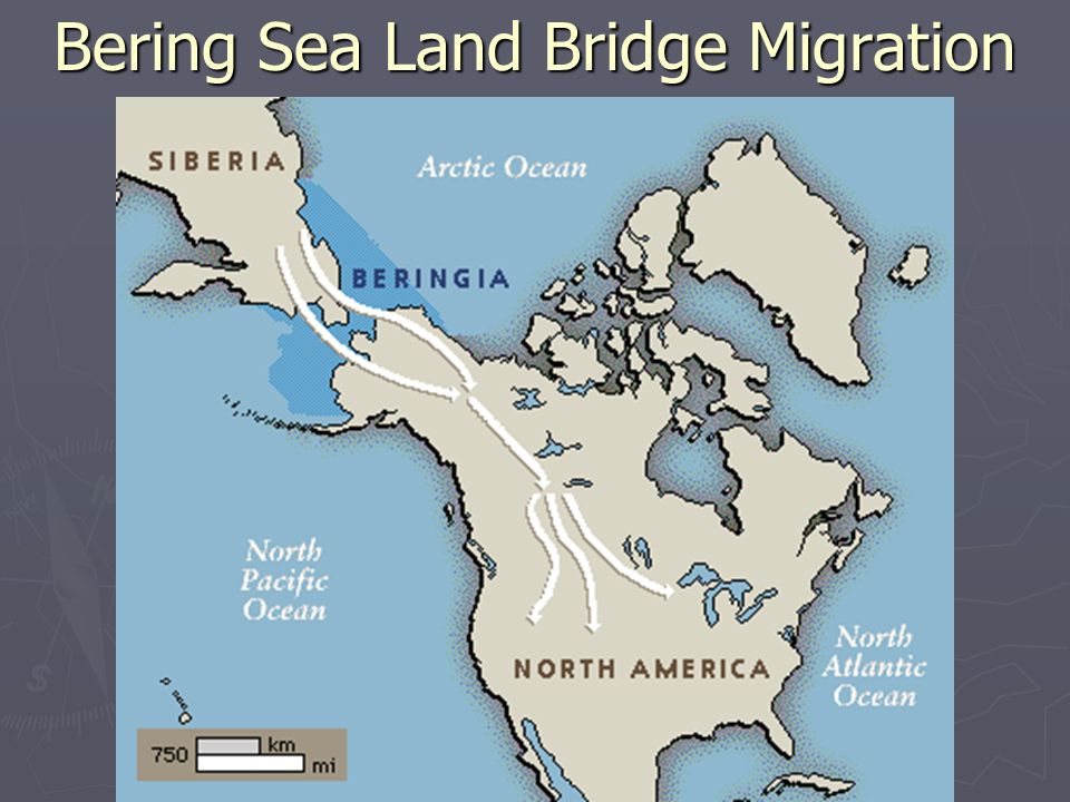 land bridge theory land bridge theory