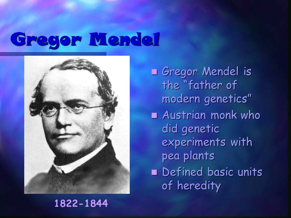 an essay on the theories of gregor mendel Describe the contribution charles darwin, august weismann, gregor mendel and frances crick have made to the study of genetics - essay example. an essay on the theories of gregor mendel Describe the contribution charles darwin, august weismann, gregor mendel and frances crick have made to the study of genetics - essay example.