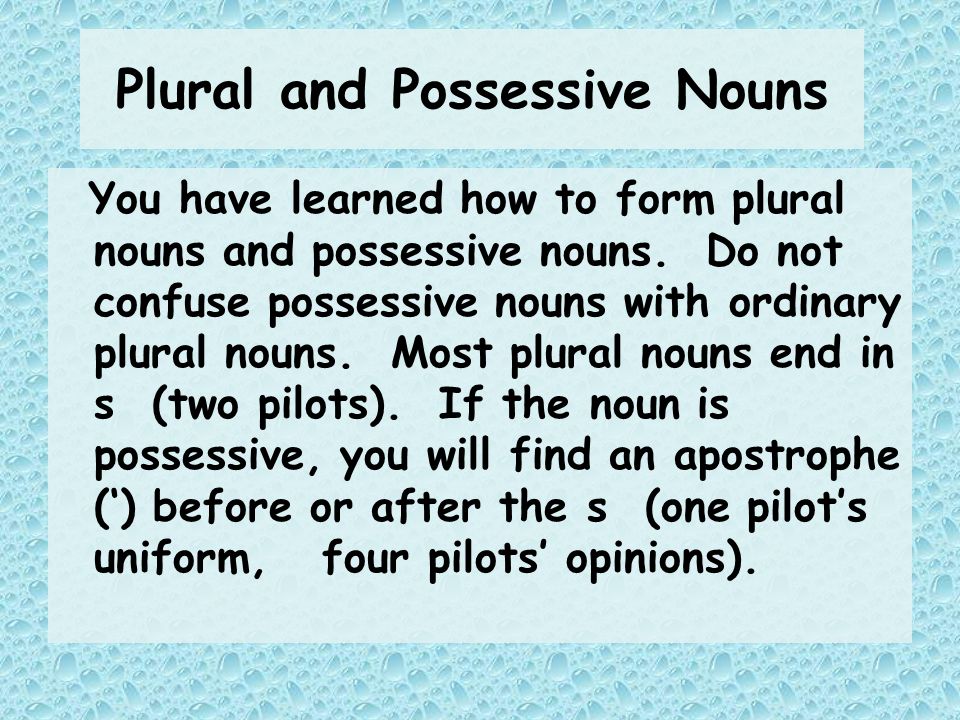 plural and possessive nouns you have learned how