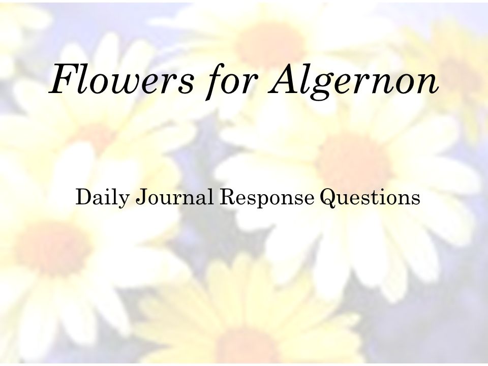Quiz Questions Flowers For Algernon Flowers Healthy Writing A Good Persuasive Essay Cmmr Bilingual Esl Multicultural Education Resources Flowers For Research Essay Topics For High School Students also Write My Report Com Essay For Health