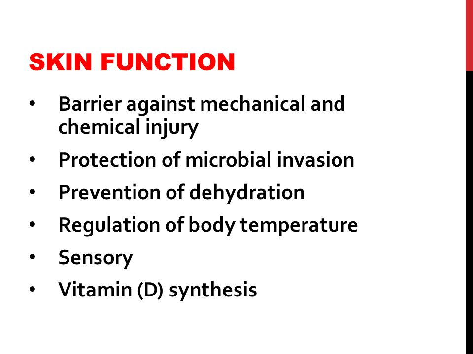 SKIN FUNCTION Barrier against mechanical and chemical injury Protection of microbial invasion Prevention of dehydration Regulation of body temperature Sensory Vitamin (D) synthesis