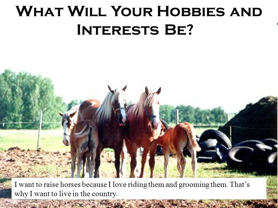 What Will Your Hobbies and Interests Be .