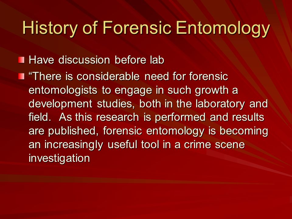 Printables Forensic Entomology Worksheet forensic entomology research worksheet answers intrepidpath the mystery of lyle and louise a lab on frey