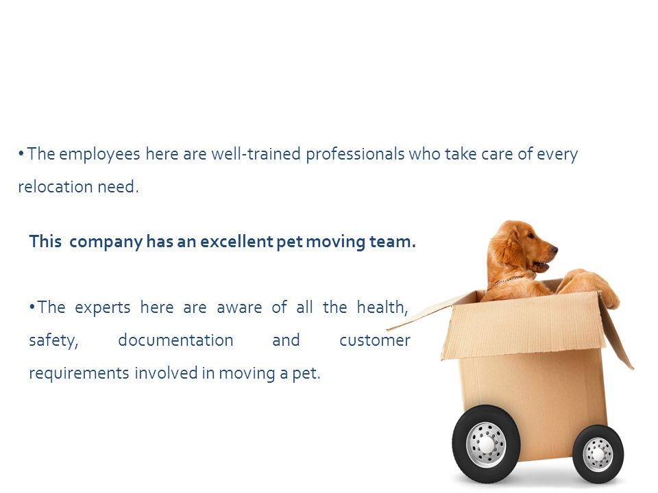 The employees here are well-trained professionals who take care of every relocation need.