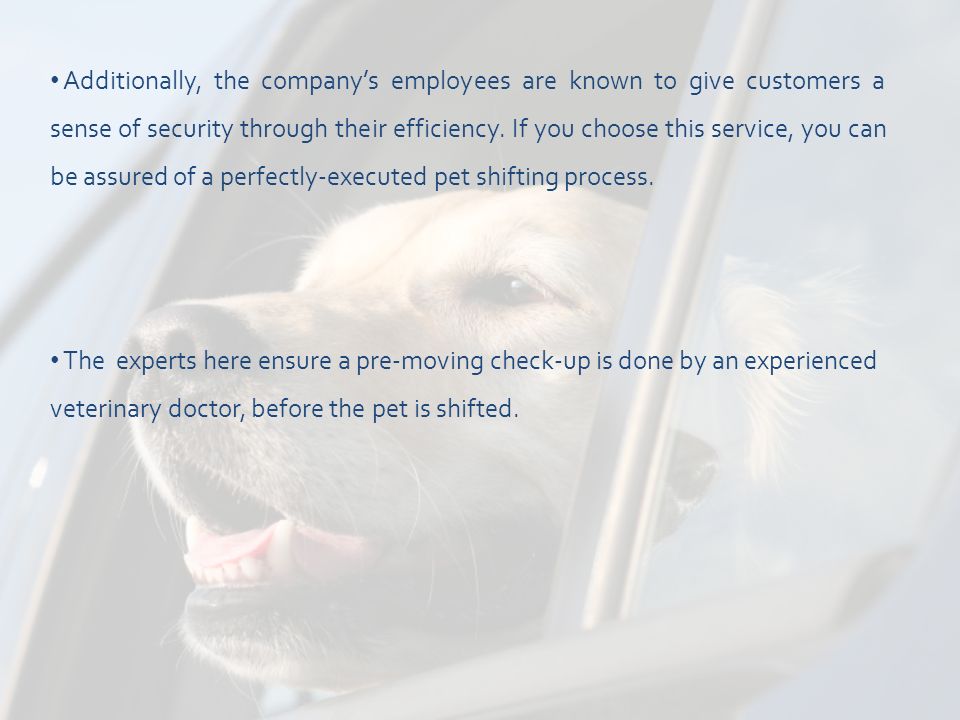 Additionally, the company’s employees are known to give customers a sense of security through their efficiency.
