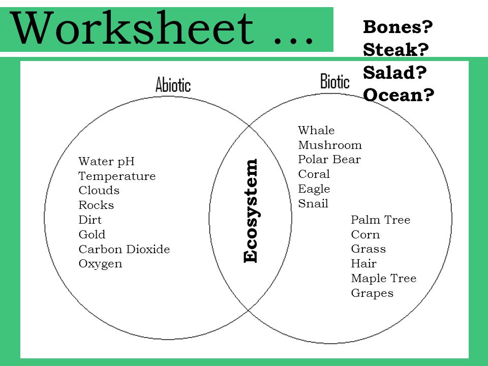 Abiotic And Biotic Factors Worksheet Rups Printables Worksheets Worksheets Abiotic And Biotic Factors Worksheet Get To 1 Im Back Yeah 2 Finish Filling In