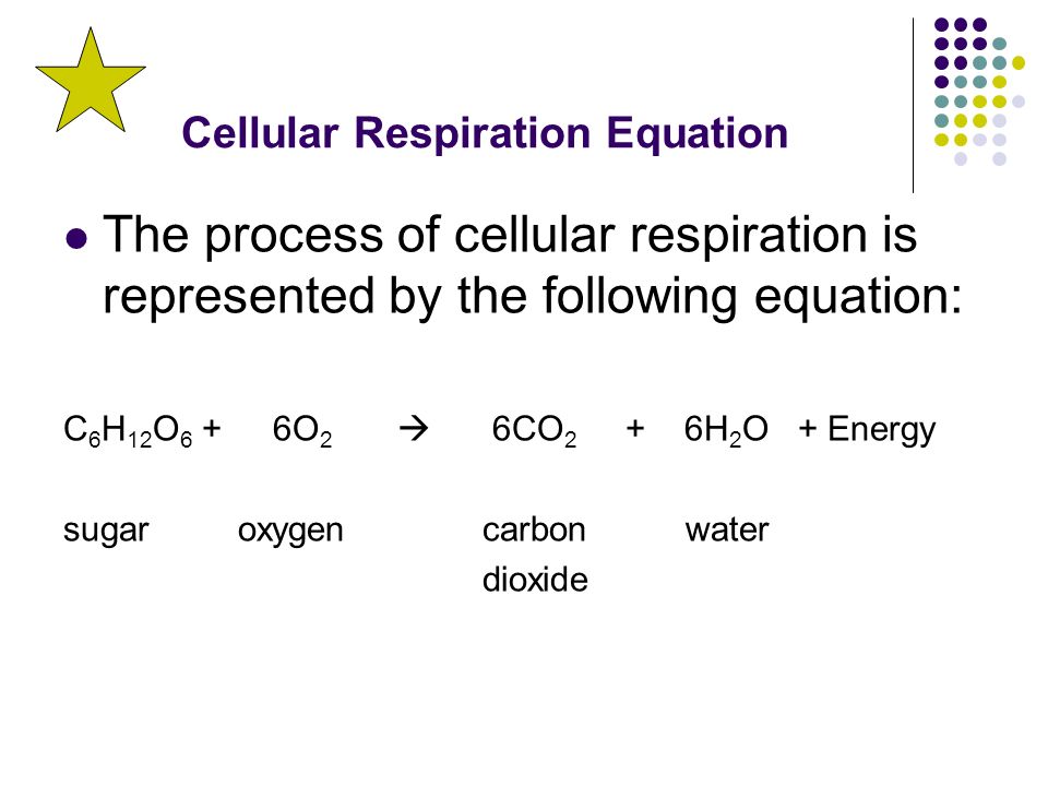 Cellular Respiration Equation The process of cellular respiration is represented by the following equation: C 6 H 12 O 6 + 6O 2  6CO 2 + 6H 2 O + Energy sugar oxygencarbon water dioxide
