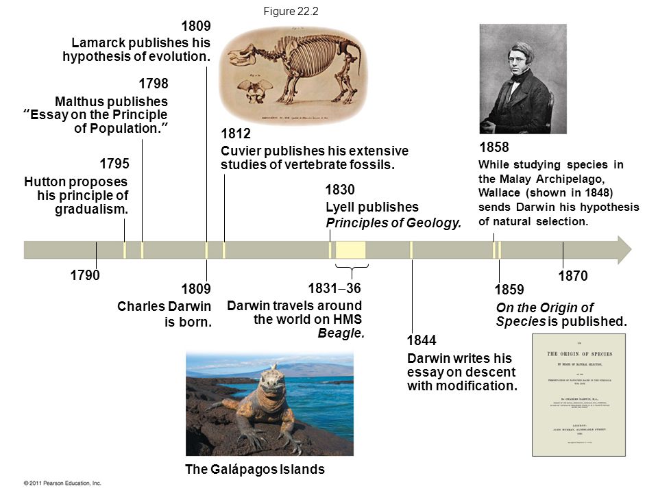 the views and ideas of darwinism Explaining charles darwin's finches and how the study of them on the galapagos islands and south american mainland led to the theory of evolution. the views and ideas of darwinism Explaining charles darwin's finches and how the study of them on the galapagos islands and south american mainland led to the theory of evolution.