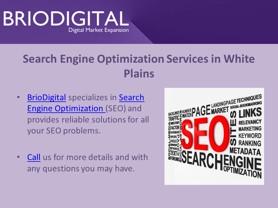 Search Engine Optimization Services in White Plains BrioDigital specializes in Search Engine Optimization (SEO) and provides reliable solutions for all your SEO problems.