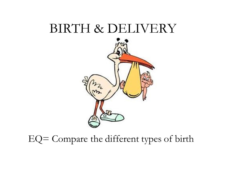 Different types of fetal presentation