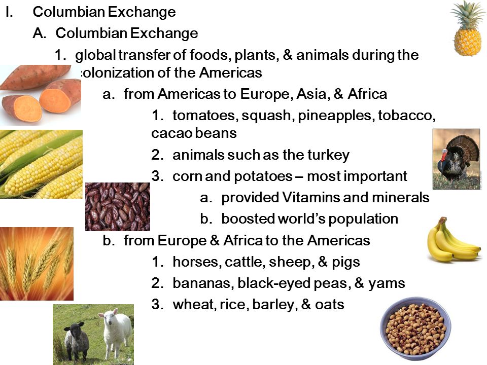 Bell Ringer Good Morning Pick Up The Worksheet From Front I Columbian Exchange A 1