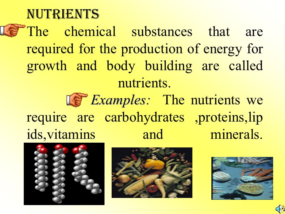 nutrients examples