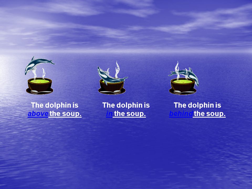 The dolphin is above the soup. The dolphin is in the soup. The dolphin is behind the soup.