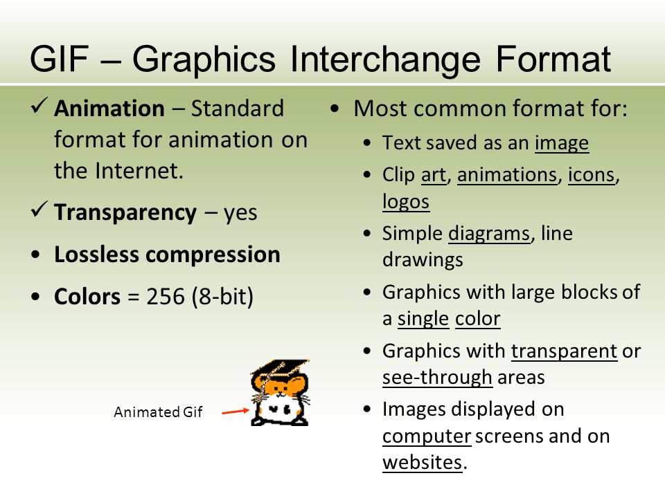 raster graphics 2 01 investigate graphic image design ppt download most common image format