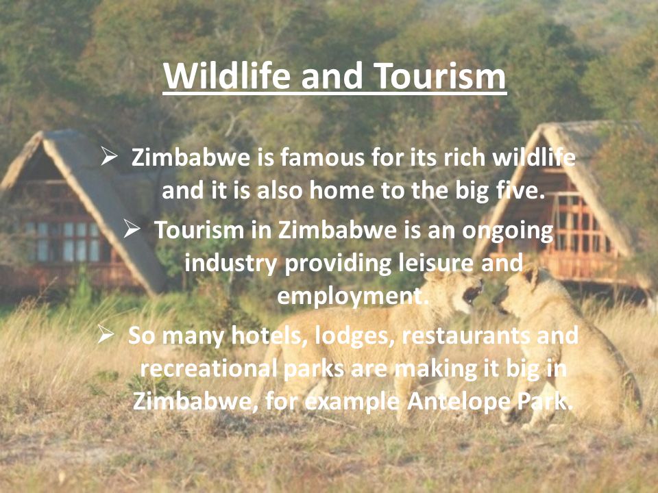 Wildlife and Tourism  Zimbabwe is famous for its rich wildlife and it is also home to the big five.