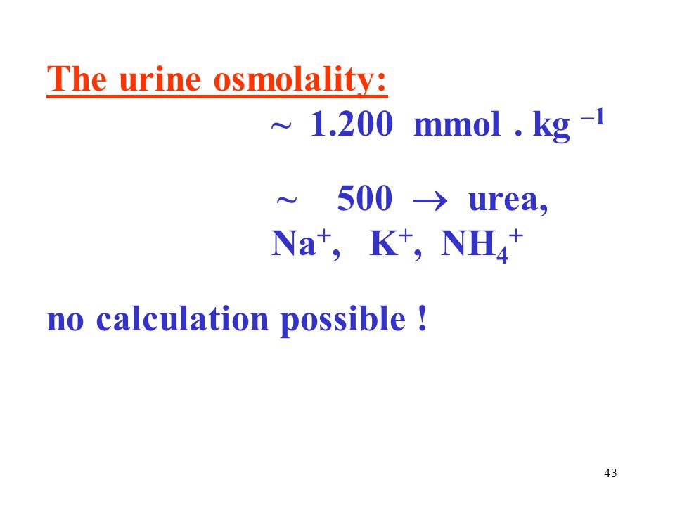 1 2 Disturbances In Water Management Osmolality Department 43 The Urine Osmolality 1 200 Mmol