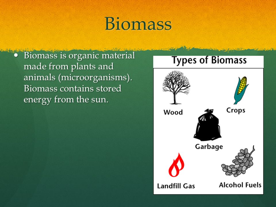 Biomass Biomass is organic material made from plants and animals (microorganisms).