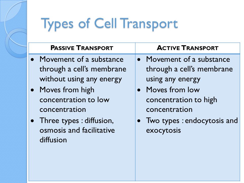 types of cell transport
