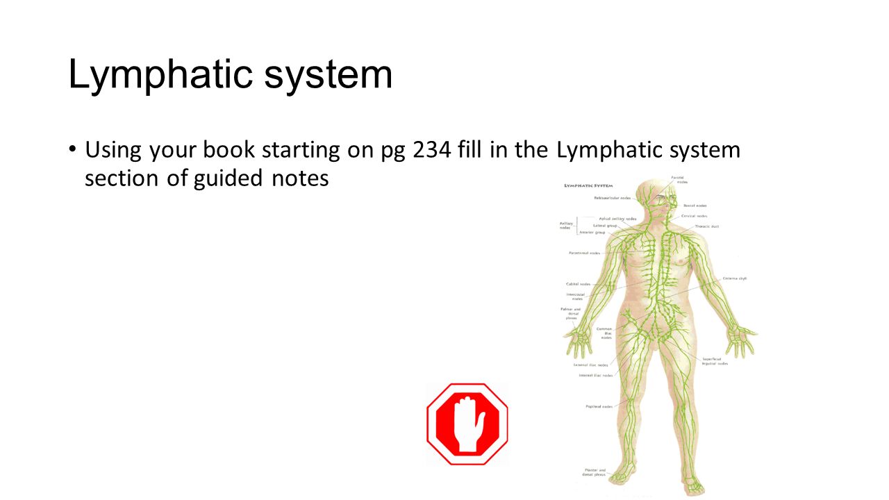 compare circulatory system and lymphatic system Best answer: the lymphatic system is a network of tubes throughout the body that drains fluid (called lymph) from tissues and empties it back into the bloodstream the main roles of the lymphatic system include managing the fluid levels in the body, filtering out bacteria, and housing types of white blood cells. compare circulatory system and lymphatic system Best answer: the lymphatic system is a network of tubes throughout the body that drains fluid (called lymph) from tissues and empties it back into the bloodstream the main roles of the lymphatic system include managing the fluid levels in the body, filtering out bacteria, and housing types of white blood cells.