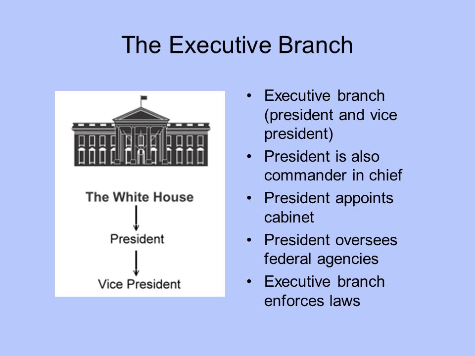 The Executive Branch Executive branch (president and vice president) President is also commander in chief President appoints cabinet President oversees federal agencies Executive branch enforces laws