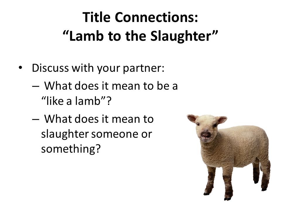 essays on lamb to the slaughter by roald dahl essays on lamb to the slaughter by roald dahl