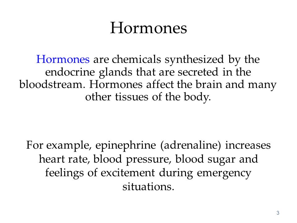 How does the endocrine system affect behavior?