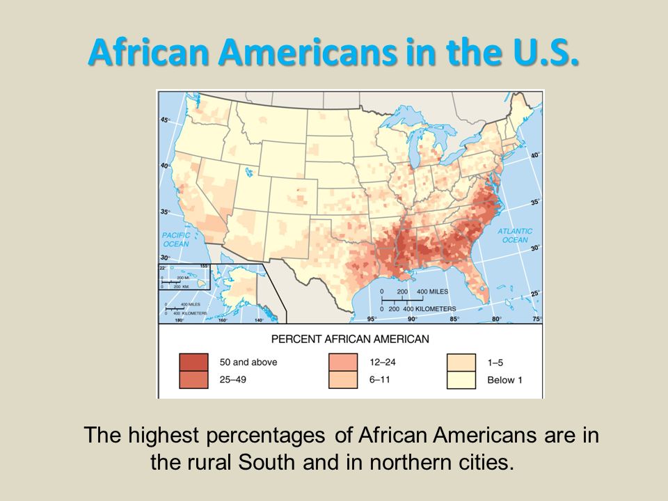african americans in the u s 2 essay african americans in the u s 2 essay