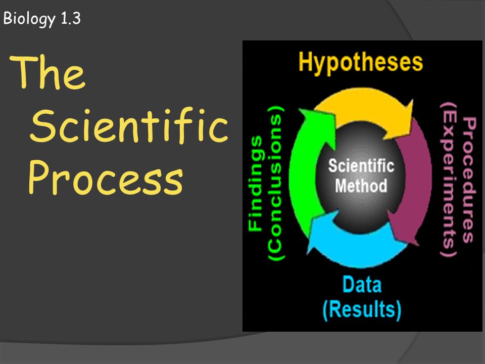 Biology 1.3 The Scientific Process