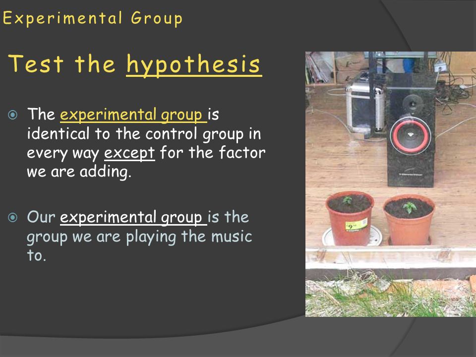 Experimental Group Test the hypothesis  The experimental group is identical to the control group in every way except for the factor we are adding.