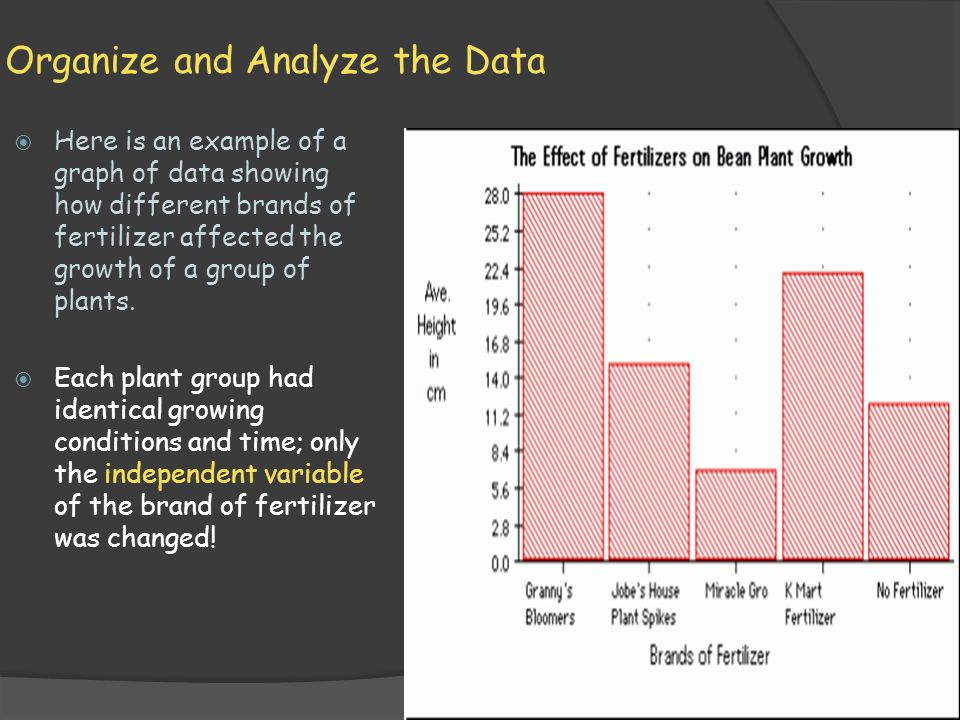 Organize and Analyze the Data  Here is an example of a graph of data showing how different brands of fertilizer affected the growth of a group of plants.