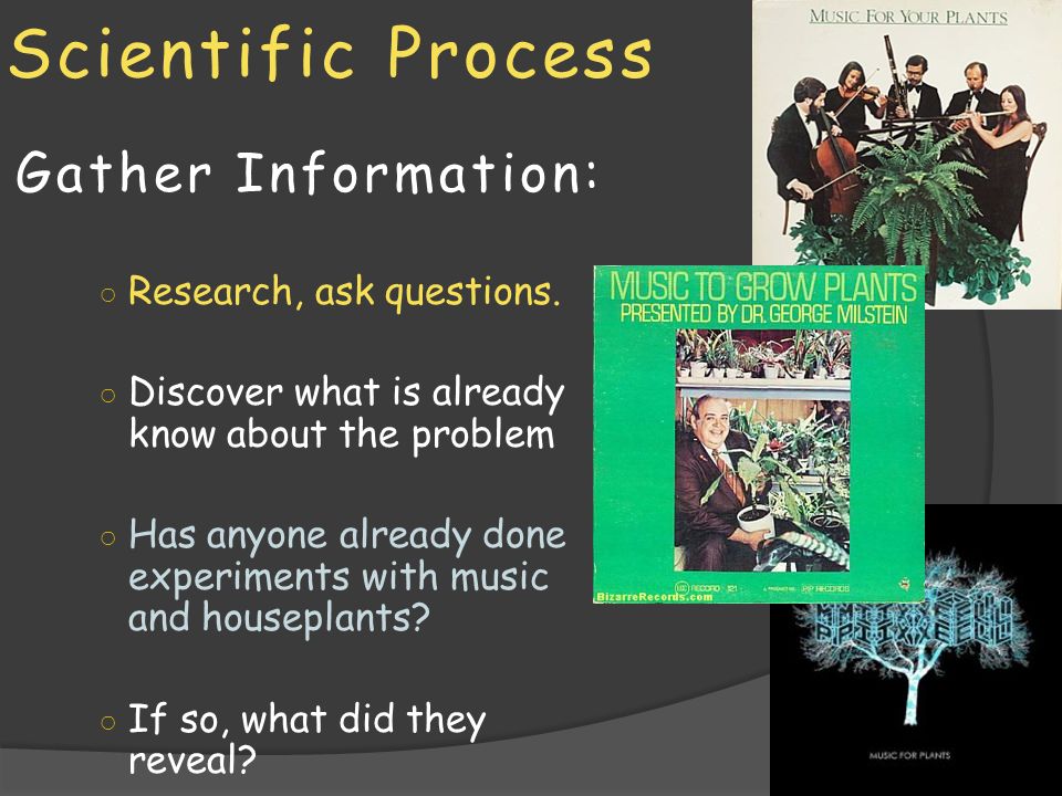 Scientific Process Gather Information: ○ Research, ask questions.