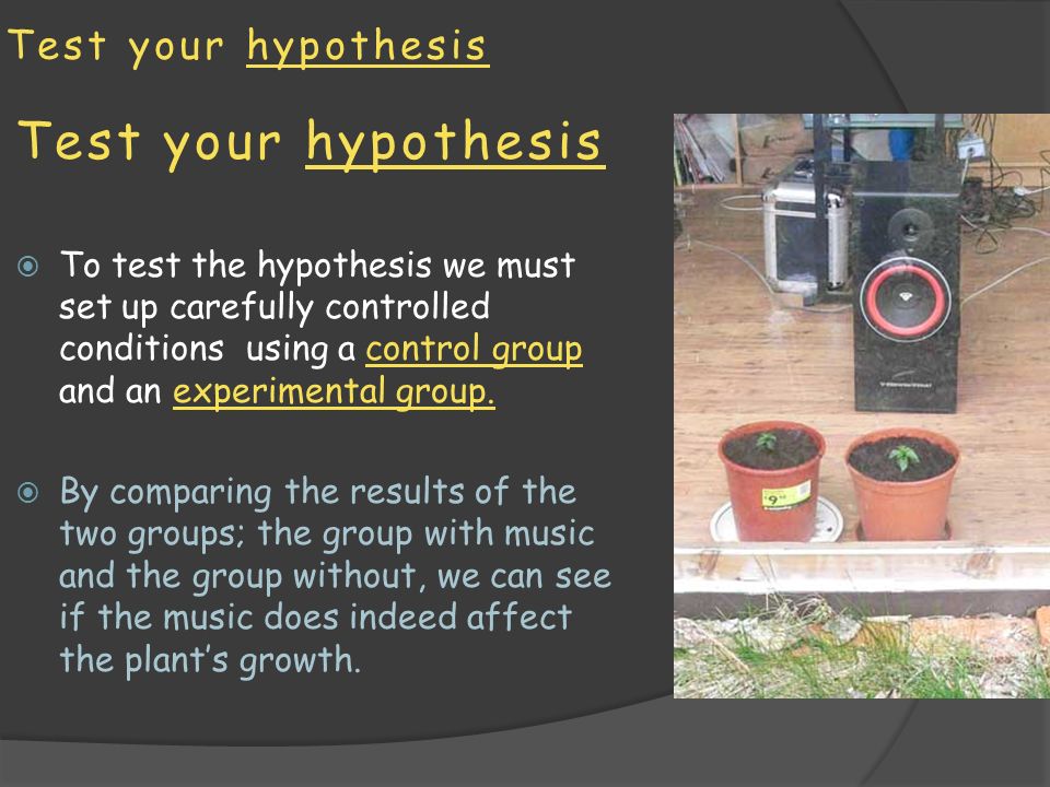 Test your hypothesis  To test the hypothesis we must set up carefully controlled conditions using a control group and an experimental group.