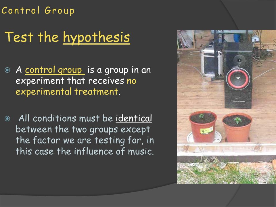 Control Group Test the hypothesis  A control group is a group in an experiment that receives no experimental treatment.