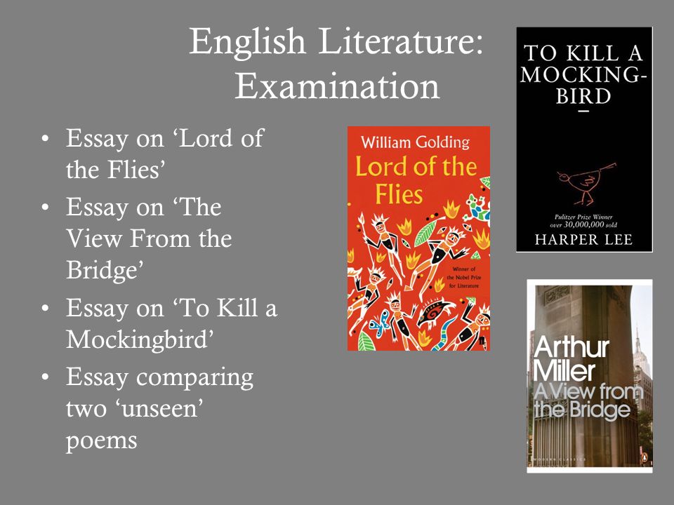 help with english literature essays Literature: essay on 'the crucible' the crucible essay the crucible is a play written by arthur miller looking for expert help with your english work. help with english literature essays Literature: essay on 'the crucible' the crucible essay the crucible is a play written by arthur miller looking for expert help with your english work.