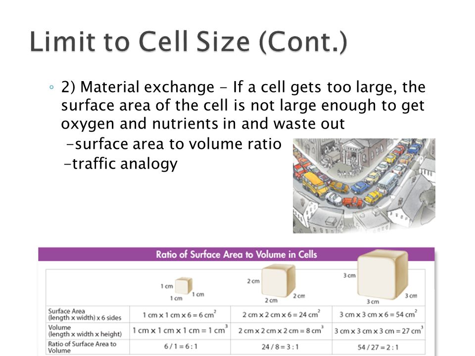 chapter 10 limits to cell size 1 information overload as why is there a limit on cell size