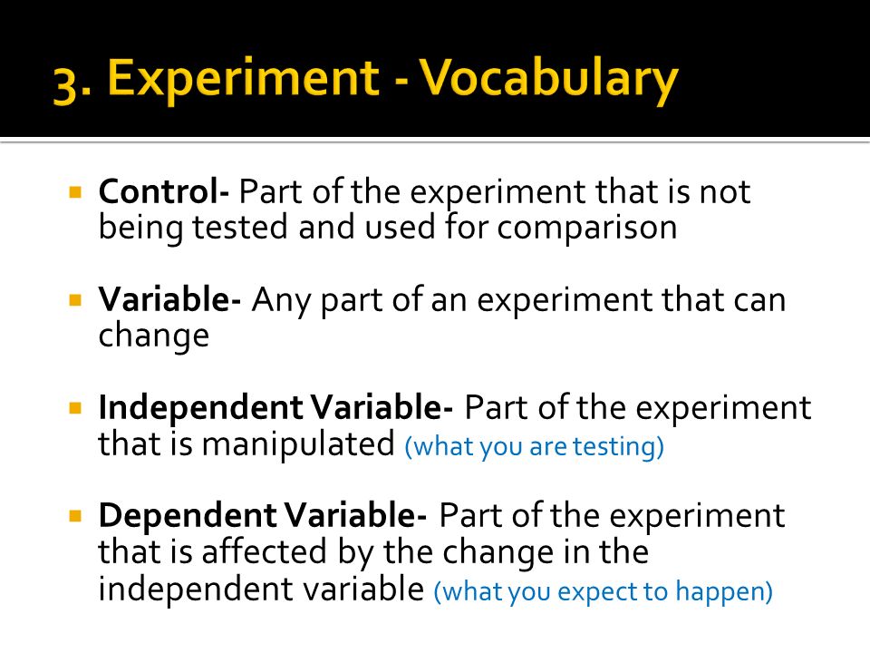 What is the part of an experiment that is not being tested and is used for comparison?