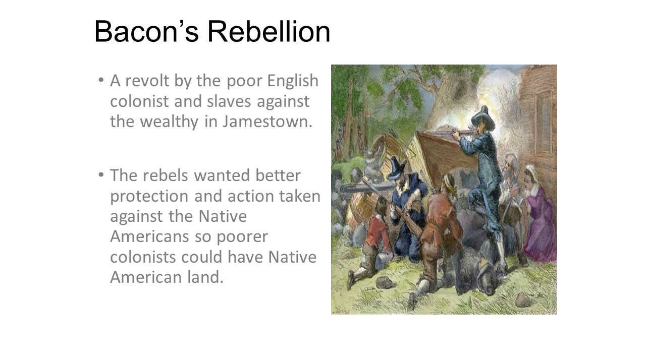 the bacons rebellion Five minute history of nathaniel bacon's rebellion - 1676 apologies for the cell phone interruption at the 3:24 mark. the bacons rebellion Five minute history of nathaniel bacon's rebellion - 1676 apologies for the cell phone interruption at the 3:24 mark.
