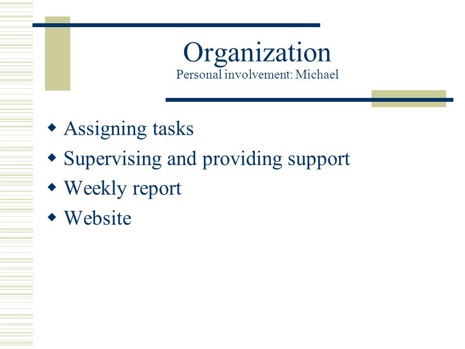 Organization Personal involvement: Michael  Assigning tasks  Supervising and providing support  Weekly report  Website