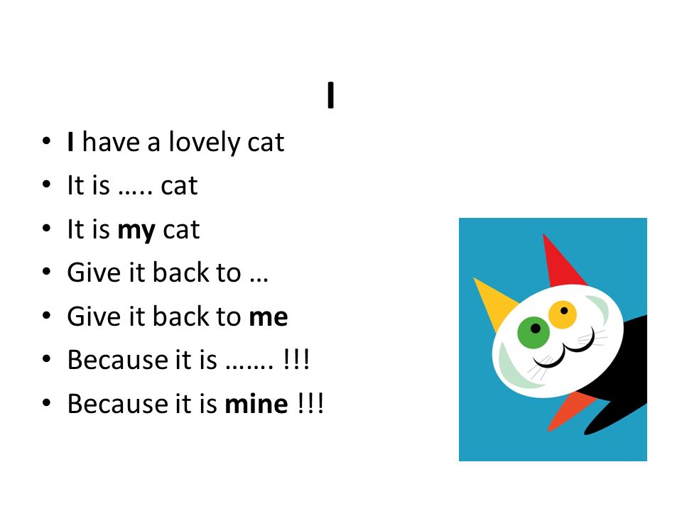 I I have a lovely cat It is …..