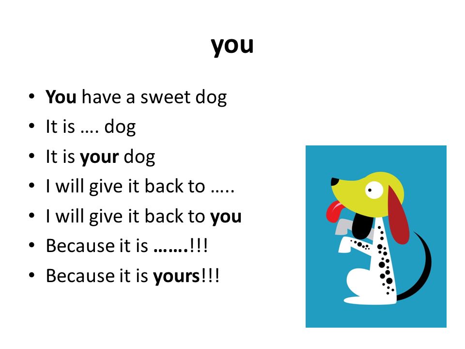 you You have a sweet dog It is …. dog It is your dog I will give it back to …..