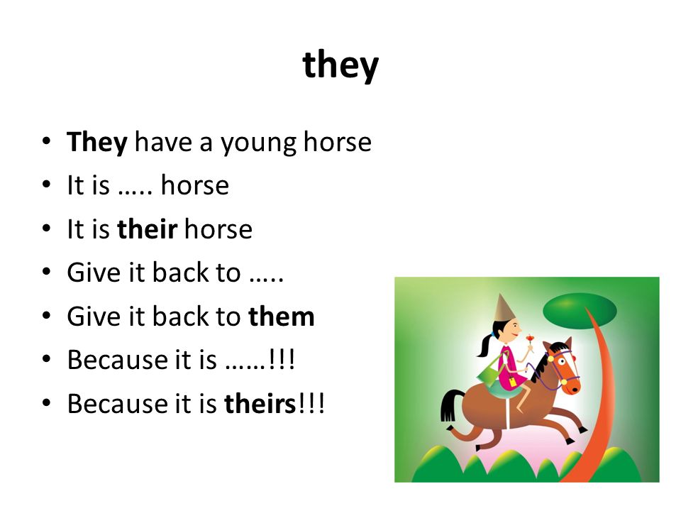 they They have a young horse It is ….. horse It is their horse Give it back to …..