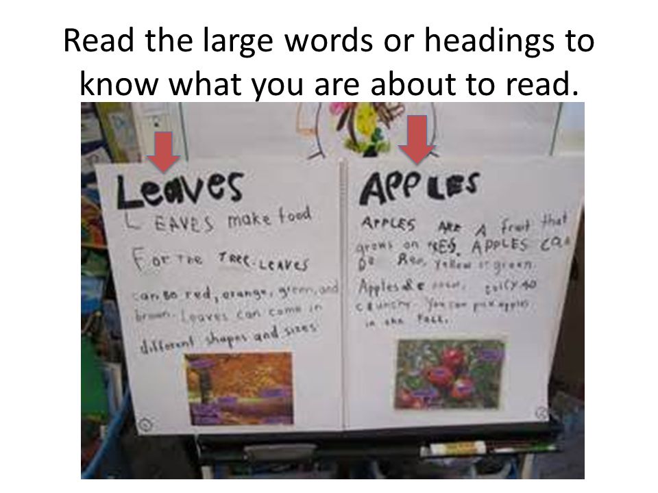 Read the large words or headings to know what you are about to read.