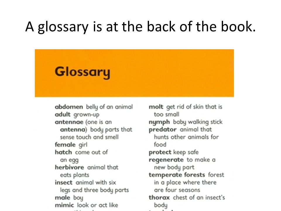 A glossary is at the back of the book.