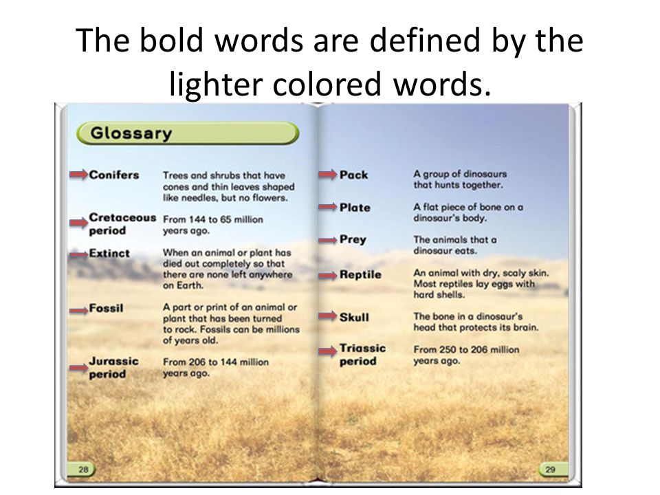 The bold words are defined by the lighter colored words.