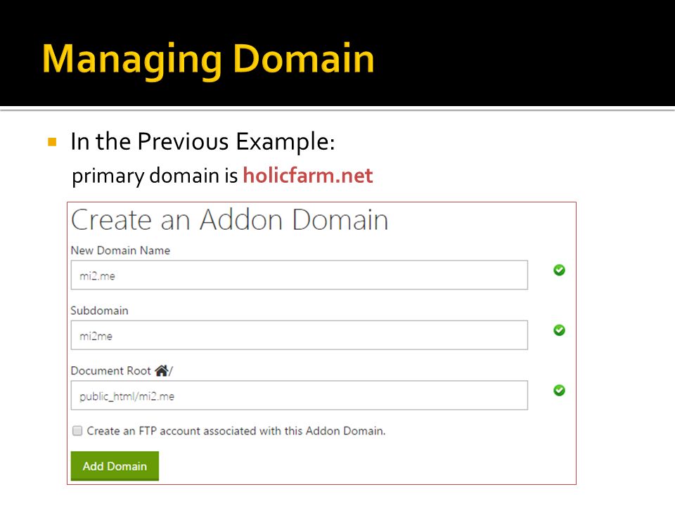  In the Previous Example: primary domain is holicfarm.net