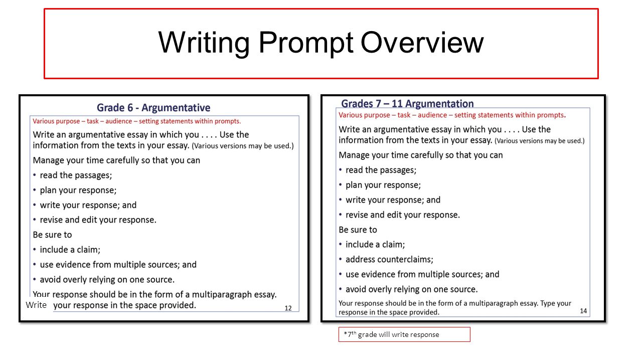 Information About Essay